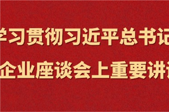 K8凯发集团集中进建习近平总书记在民营企业座谈会上沉要讲话心灵